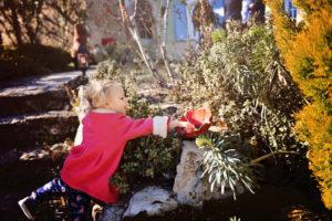Découvrir la Provence ‘Hors Saison’ en famille. Chasse aux Oeufs dans le domaine d'Une Campagne en Provence
