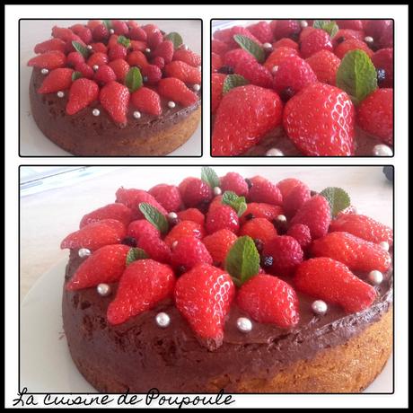 Gâteau aux fraises et framboise sur lit de mousse au chocolat thermomix ou sans 