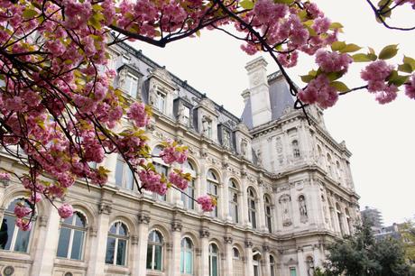 Hanami à Paris…