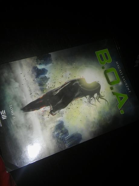 Loterie funeste (B.O.A #1)