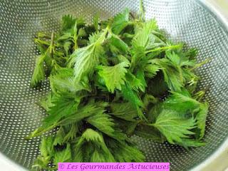 Pesto aux orties, asperges du jardin et fleurs de chou (Vegan)