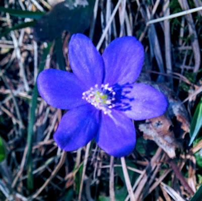Jour de printemps estival autour de Mittenwald