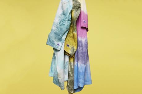 Le coup de cœur de la semaine : Champion Le coup de cœur de la semaine : Champion