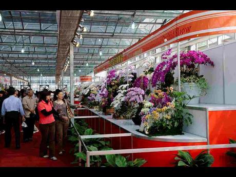 Pays Etranger -  Marché aux Orchidées à Taiwan - 2