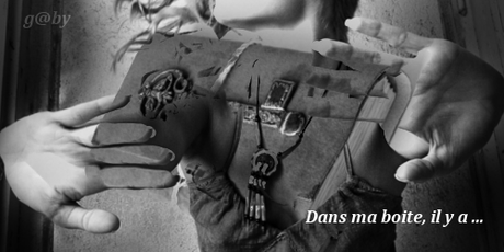 Dans ma boite il y a... # 109 IMM # 21