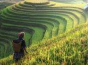 L’empreinte chinoise dans l’agriculture française coexistence conflit