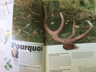 Magazine Salamandre Magazine Salamandre