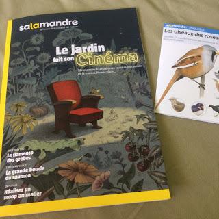 Magazine Salamandre Magazine Salamandre