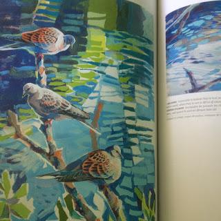 Magazine Salamandre Magazine Salamandre