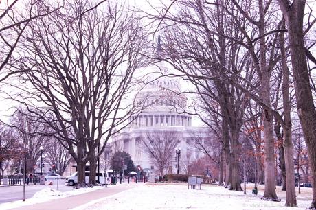 Washington D.C | Winter Holiday Road Trip