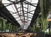 EVASION Summer House Restaurant [Bangkok]