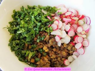 Salade aux 2 lentilles, aux radis et à l'Ail des Ours (Vegan)