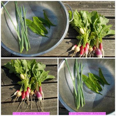 Salade aux 2 lentilles, aux radis et à l'Ail des Ours (Vegan)