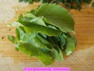 Salade aux 2 lentilles, aux radis et à l'Ail des Ours (Vegan)