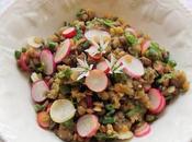 Salade lentilles, radis l'Ail Ours (Vegan)