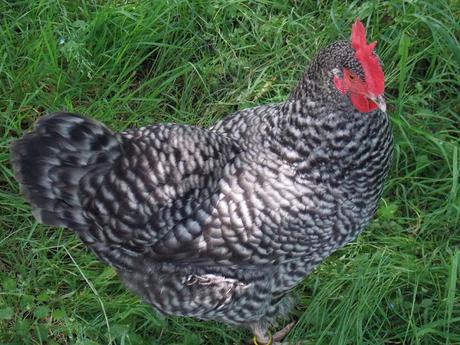 Calendrier lunaire Mai Juin 2018