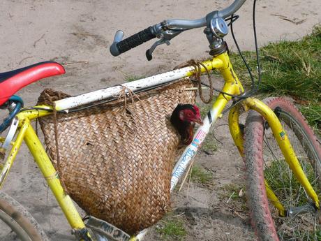 Mada, c'est ça, aussi !