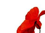 Isabelle Lévesque Pierre Dhainaut, Grande Année Angèle Paoli