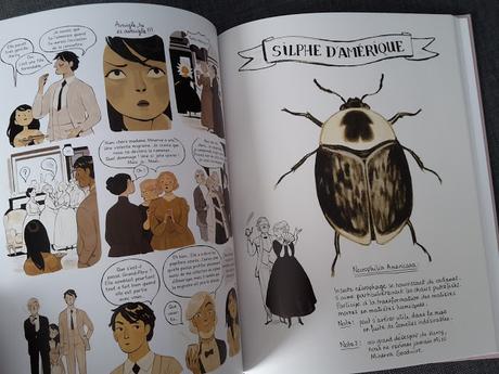 [CHRONIQUE BD] Calpurnia - Tome 1 - Daphné Collignon et Jacqueline Kelly ♥ ♥ ♥