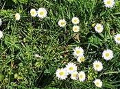 deux millième billet, comme cadeau