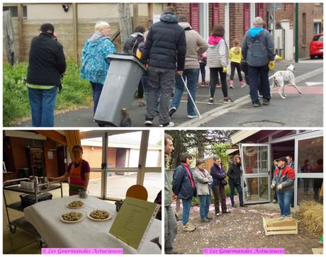 Retour sur mon Stand-dégustation Plantes sauvages comestibles pour Vendin propre
