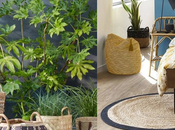 petites inspirations déco pour l'été