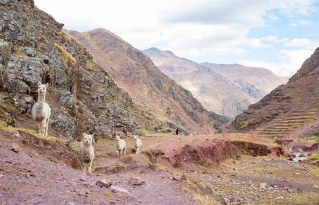 Arc en ciel made in China Arc en ciel made in China