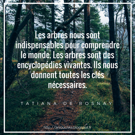 Sentinelle de la pluie de Tatiana de Rosnay