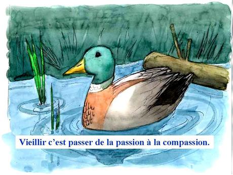 Divers - Vieillir.... sur fonds d'aquarelle