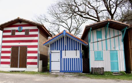 Promenade iodée aux alentours de Bordeaux
