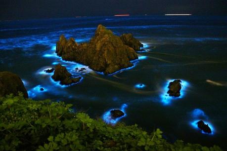 Matsu larmes bleus océan plage mer lumières incandescentes nuit