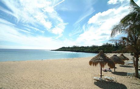 South Bay plage kenting palmiers