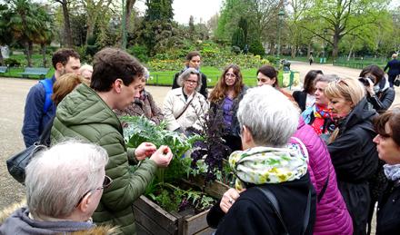 Laurent Tillon : observer la nature et retrouver espoir