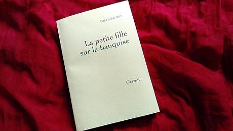 La petite fille sur la banquise – Adélaïde Bon