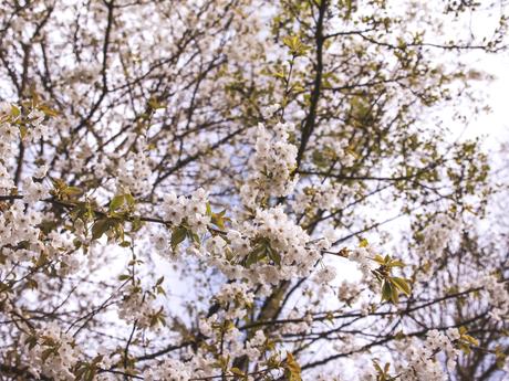 Rayures & paille – Mon look printanier du moment