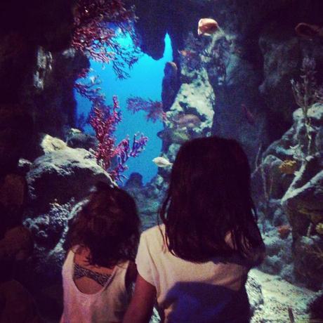 Nos vacances de Pâques en famille dans l’Hérault !