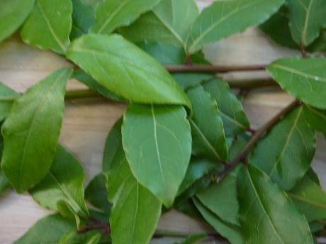 Location Meublée Courte Durée Les 25 Meilleures Images Du Tableau Couvre sol Sur Pinterest