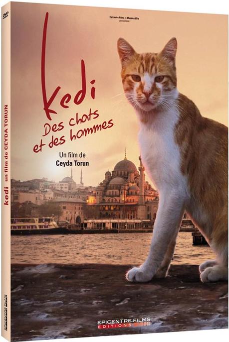 Kedi_Des_Chats_et_des_hommes