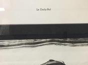 Saisissant superflu Daily-Bul