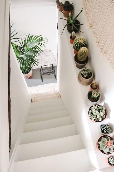 deco bucolique escaliers blancs cactus
