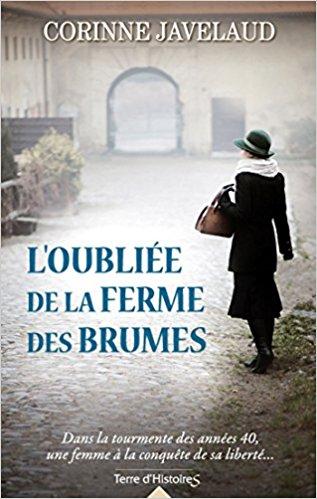 Book Haul sdl Lire à Limoges
