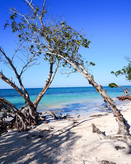 Cuba : Cayo Jutías (Viñales, Pinar Del Rio)