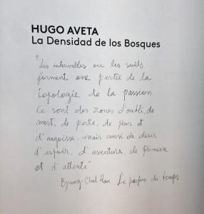 NexLevel Galerie  exposition Hugo AVETA jusqu’au 13 Juillet 2018