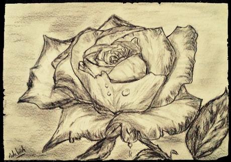 Syllabes du bonheur Syllabes du bonheur