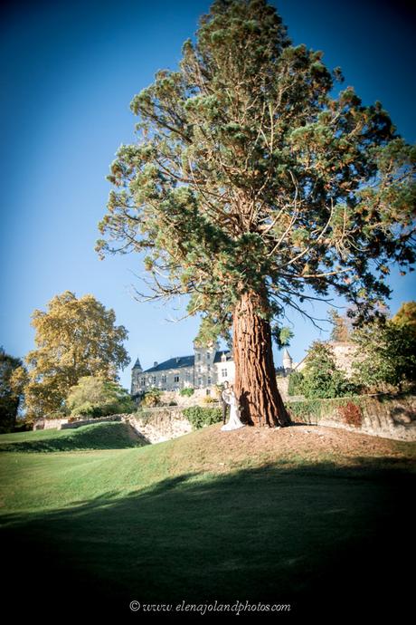 Game Thrones Theme Wedding Chateau Lisse. Thème mariage