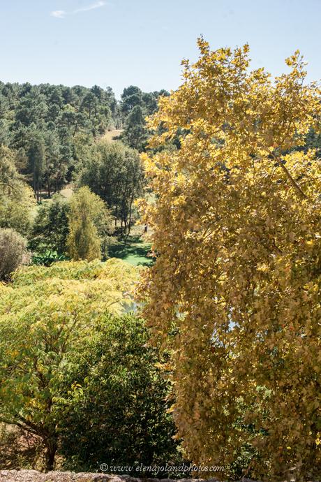 Game Thrones Theme Wedding Chateau Lisse. Thème mariage