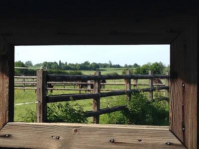 Et pourquoi pas Lignières ?