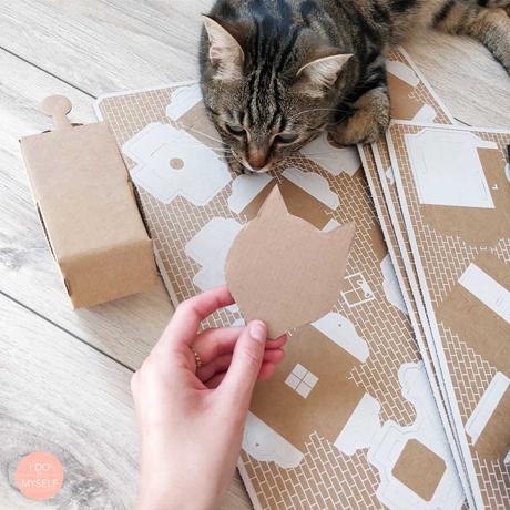 Cats and DIY