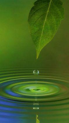 A l'école du silence vivant A l'école du silence vivant