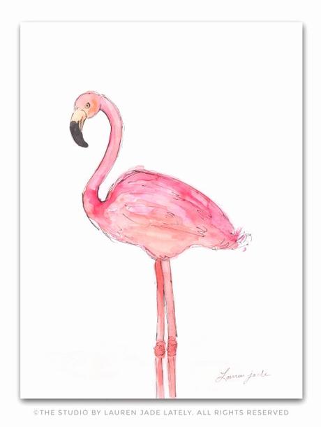Meubles Flamant Flamingo No Two Ll Pinterest